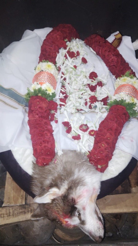 Pet laid on wooden pyre platform with elaborate red rose garlands and white flower decorations