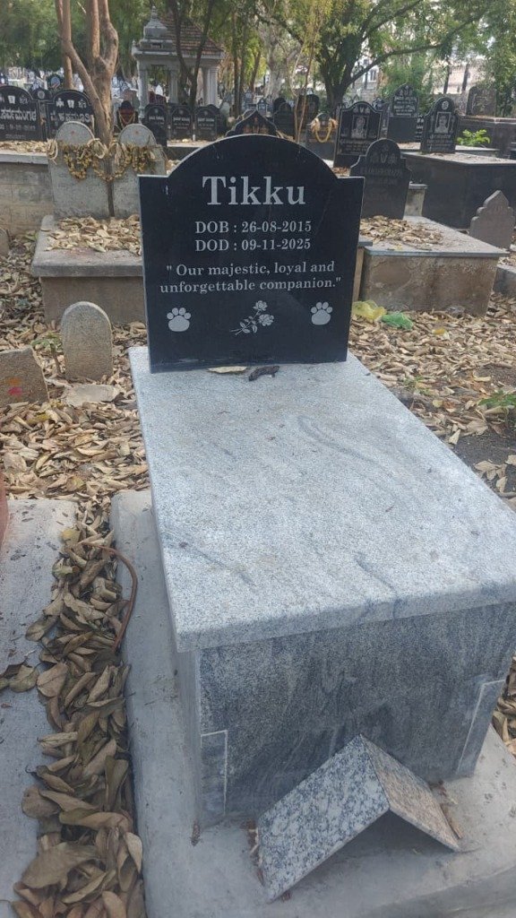 Pet memorial tombstone — dignified burial with granite headstone for beloved dog Tikku